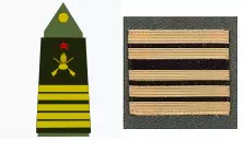 Galon colonel de l'Armée de Terre