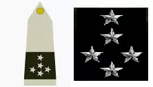 Galon général d'armée de l'Armée de Terre