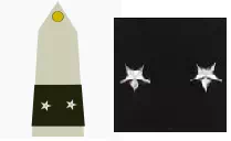 Galon général de brigade de l'Armée de Terre
