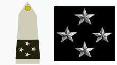 Galon général de corps d'armée de l'Armée de Terre