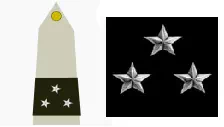 Galon général de division de l'Armée de Terre