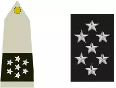 Insigne de maréchal de France