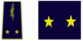 Galon de général de brigade aérienne de l'Armée de l'Air et de l'Espace
