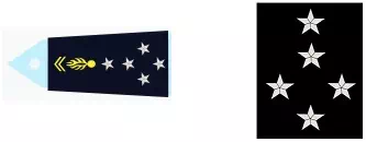 Galon général d'armée – Gendarmerie