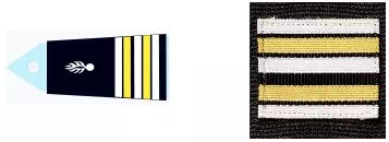Galon lieutenant-colonel CTAGN