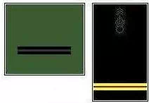 galon_adjudant_chef_legion