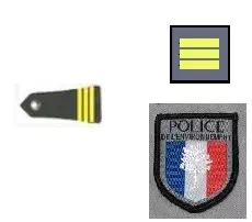 Galon chef technicien police environnement