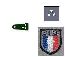 Galon directeur général police environnement