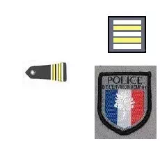 Galon directeur adjoint police environnement