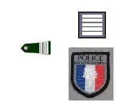 Galon directeur police environnement