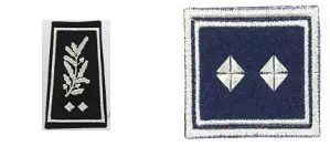 Galon de contrôleur général des services actifs de la Police nationale