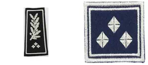 Galon d'inspecteur général des services actifs de la Police nationale