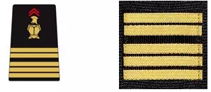 Galon BSPP colonel