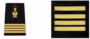 Galon BSPP commandant