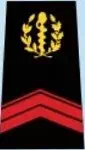 Galon de caporal du SSA