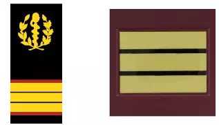 Galon de médecin des armées du SSA