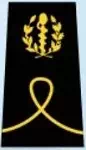 Galon d'élève-officier médecin du SSA