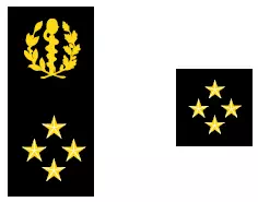 Galon de médecin général des armées du SSA