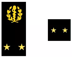 Galon de médecin général du SSA