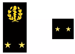 Galon de pharmacien général du SSA