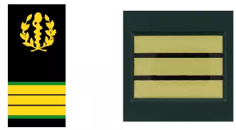 Galon de pharmacien des armées du SSA