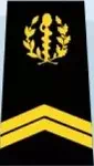 Galon de sergent du SSA