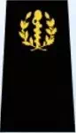 Galon de soldat du SSA