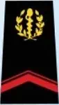 Galon de soldat 1ère classe du SSA