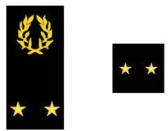 Galon de vétérinaire général du SSA