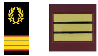 Galon de vétérinaire des armées du SSA