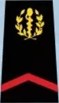 Galon de soldat 1ère classe volontaire du SSA