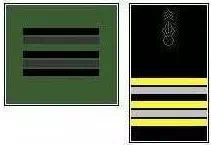 galon_lieutenant_colonel_legion
