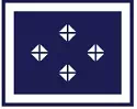 Galon de directeur des services actifs de la Police nationale