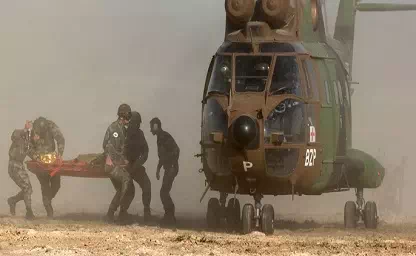 Logo du Service de santé des armées